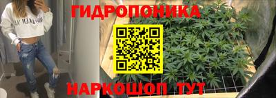 амф Севастополь